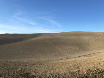 Scenic view of agricultural field against blue sky