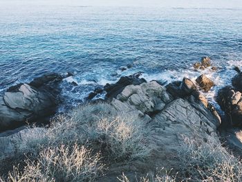 High angle view of rocks in sea