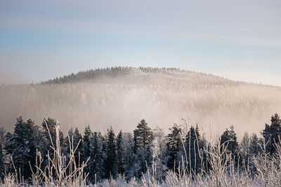 Scenic view of snow covered land against sky