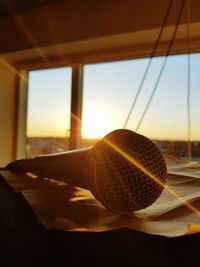 Close-up of shell against sky during sunset