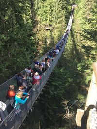 High angle view of people on footbridge in forest