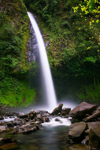 Scenic view of waterfall in forest