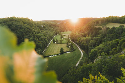 Panoramic shot of road amidst trees against sky