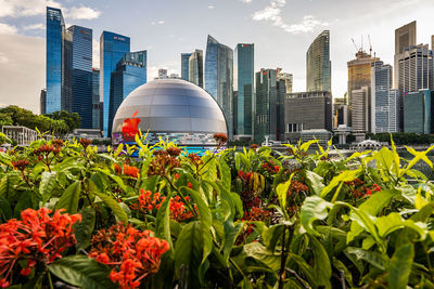 Plants and modern buildings in city against sky