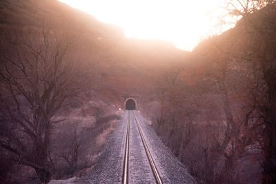 Railroad tracks amidst bare trees