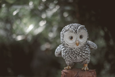 Close-up of bird statue