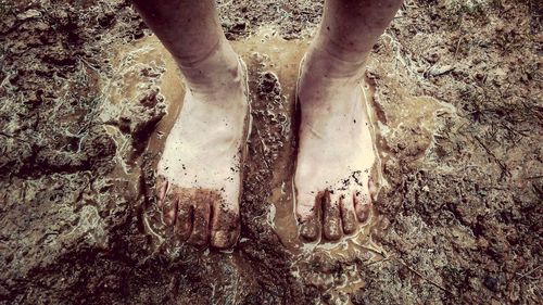 Low section of person standing on mud