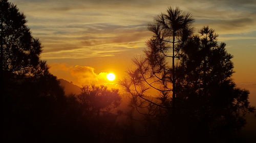 Silhouette trees against sky during sunset