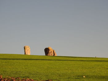 Hay bales on field against clear sky
