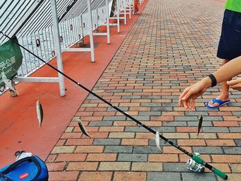 Low section of man skateboarding on cobblestone