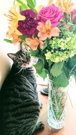 Close-up of cat on flowers