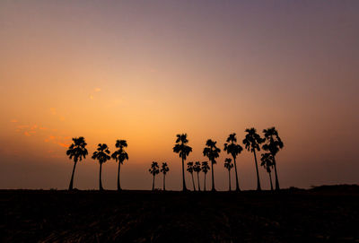 Silhouette trees on field against sky during sunset