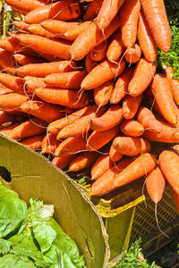 High angle view of vegetables for sale at market stall