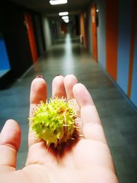 Close-up of person holding hand