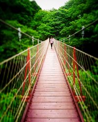 rope bridge