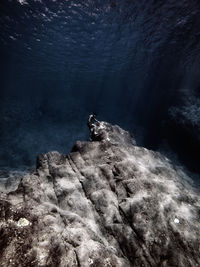 Man swimming in sea