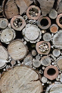 Insect hotel