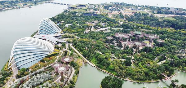 High angle view of trees by river against buildings