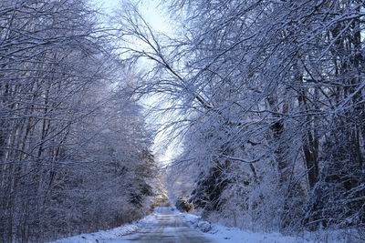 Snow covered road amidst trees in forest