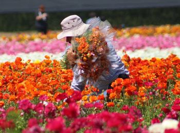 Man picking flowers on field