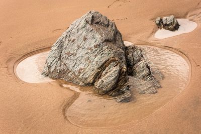 High angle view of rock on sand