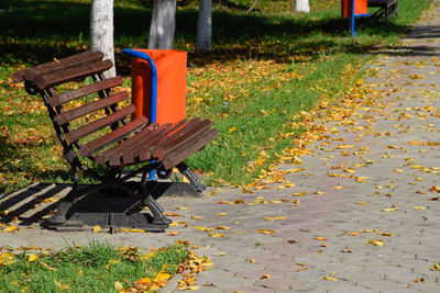 Empty bench in park during autumn