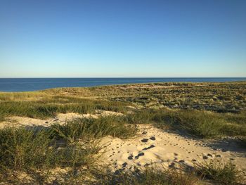 Scenic view of beach against clear blue sky