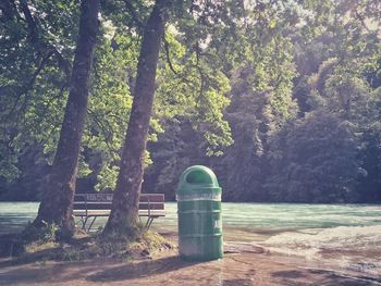 View of trees at seaside