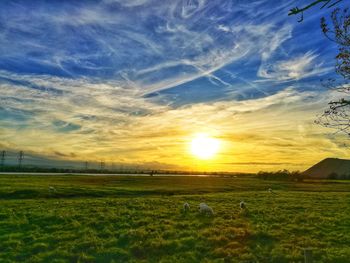 Scenic view of field against sky during sunset