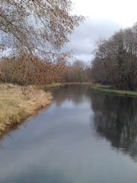 Scenic view of lake by trees against sky