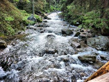 Stream flowing through rocks in forest