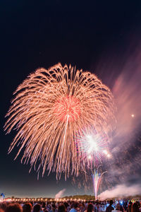 Low angle view of firework display at night