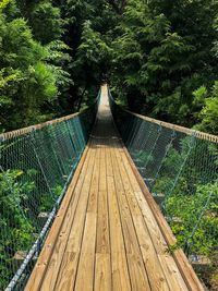 High angle view of footbridge in forest