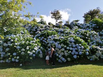 Woman standing by plants on field