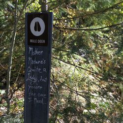 Close-up of road sign