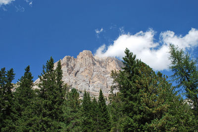 Mountains and forests near falzarego pass in veneto, italy.