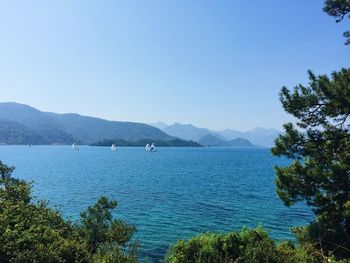 Scenic view of sea against clear blue sky