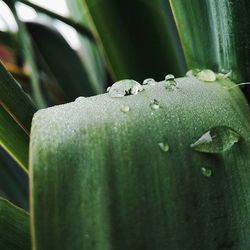 Close-up of water