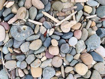 Stones and wood polished by the sea