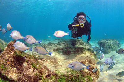 Scuba diving in sea