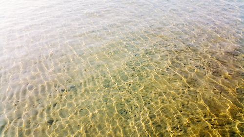 Full frame shot of sea shore