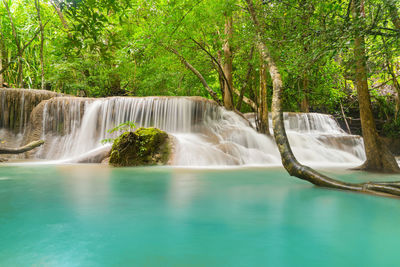 Scenic view of waterfall in forest