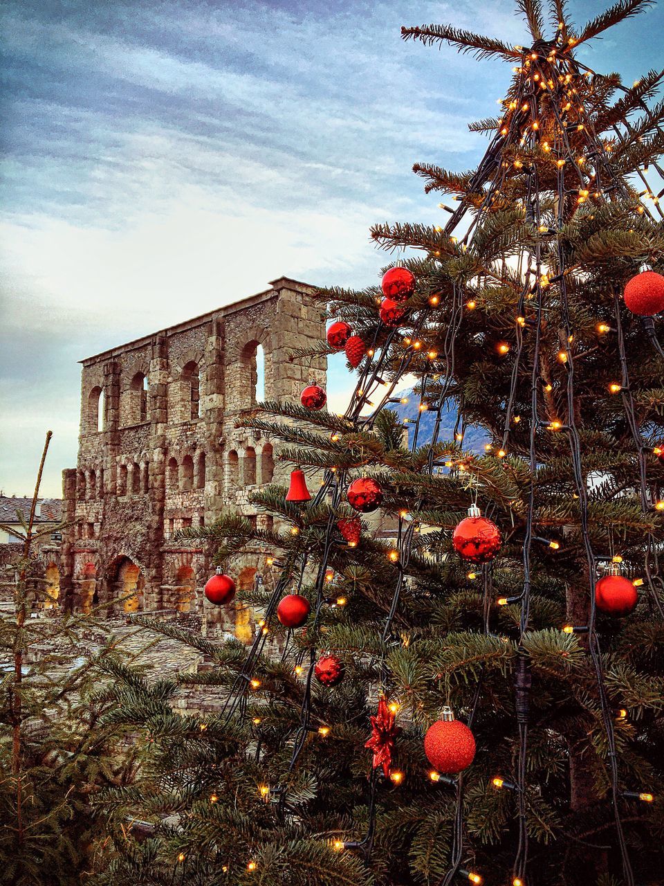 CLOSE-UP OF CHRISTMAS TREE AGAINST BUILDING