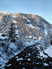Scenic view of snow covered tree against sky