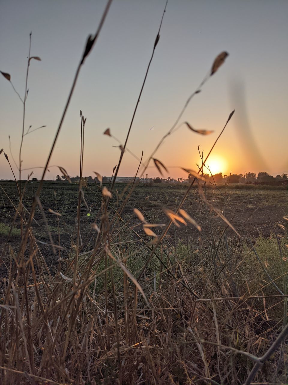 SCENIC VIEW OF FARM AGAINST SKY DURING SUNSET