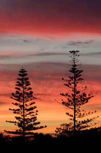 Silhouette tree against dramatic sky during sunset