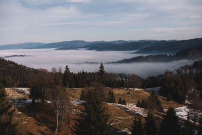 Scenic view of landscape against sky during winter