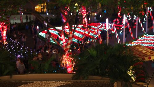 People in illuminated christmas tree at night