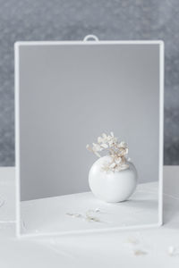 Close-up of white rose on table