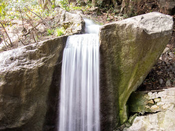 Scenic view of waterfall in forest